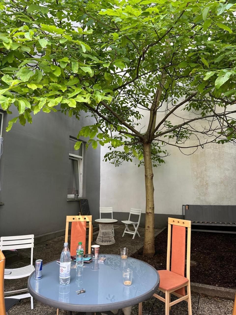 Ring 27 Grosse Ferienwohnung Im Herzen Von 겔젠키르헨 외부 사진